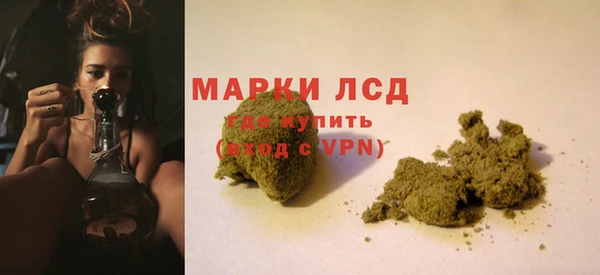 крисы Касимов