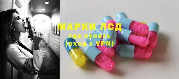 крисы Касимов