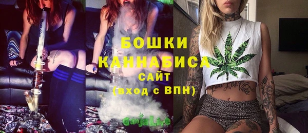 крисы Касимов