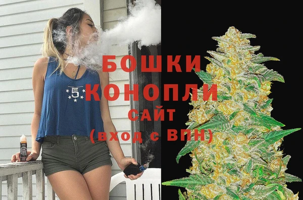 крисы Касимов