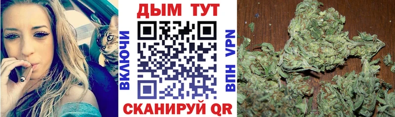 Марихуана план  Купить где  Болохово 